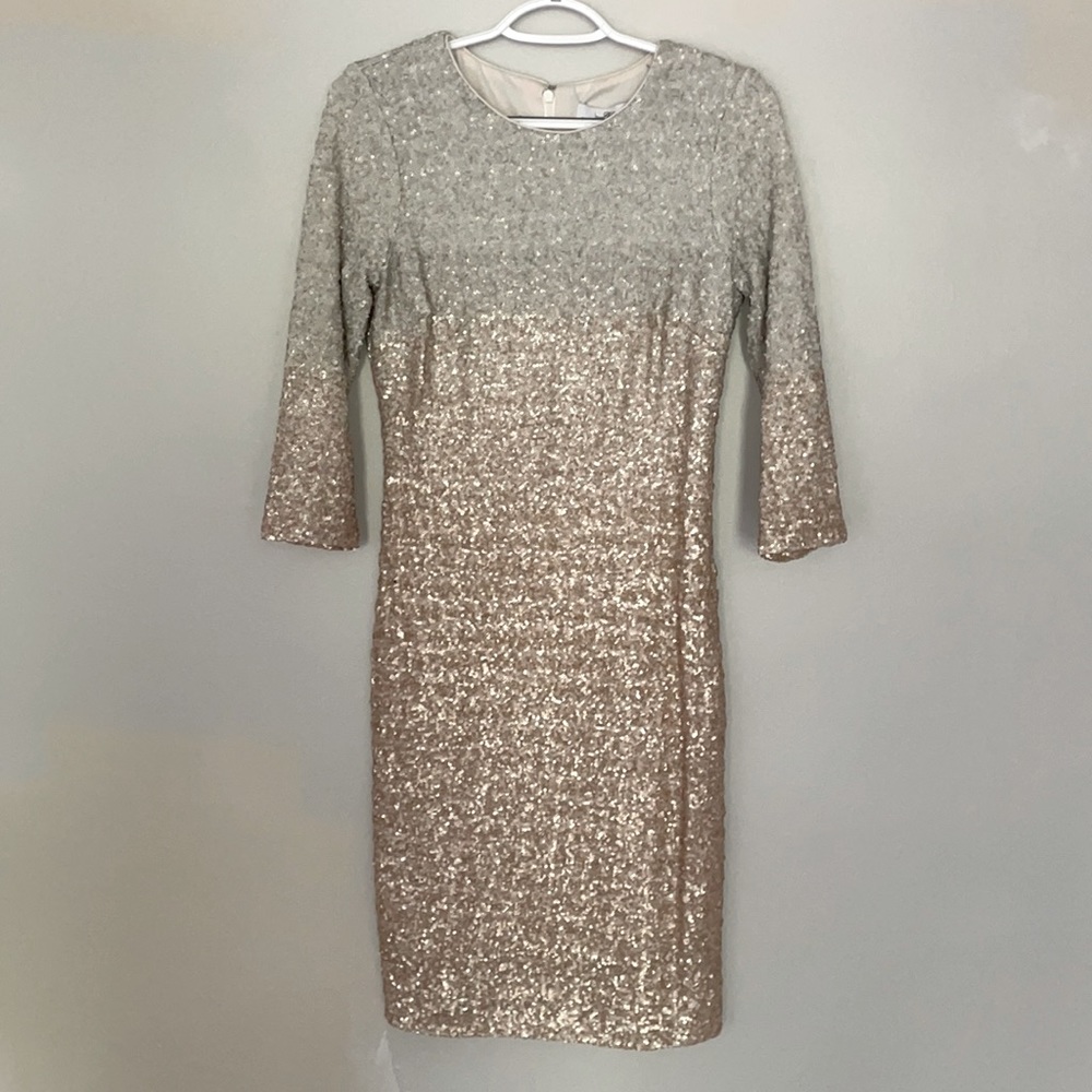 Belle by Badgley Mischka sequined Dress